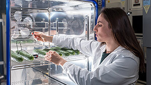  La recherche de la qualité au supermarché: Seraina Schudel, chercheuse à l'Empa, mesure la température à l'intérieur d'un concombre. Image: Empa 