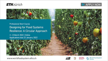 Designing for Food Systems Resilience: A Circular Approach 