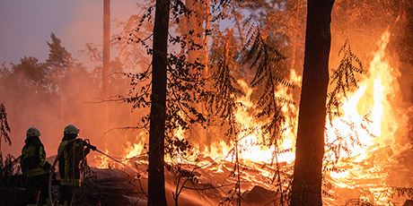  À mesure que le réchauffement climatique s'accentue, un nombre encore plus grand de régions seront touchées par des événements extrêmes tels que les incendies de forêt, et ces événements seront plus fréquents et plus intenses. (Image: Adobe Stock) 