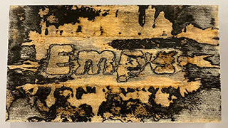 Empa researcher Tine Kalac succeeded in "teaching" fungi how to write on wood for the very first time. Image: Empa