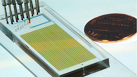  Ein mikrofluidisches MITOMI-Gerät © Sebastian Maerkl / 2021 EPFL 