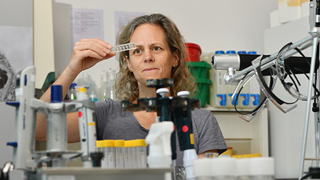 Klare Sicht aufs Wesentliche: Tina Bürki vom Empa-Labor «Particles-Biology Interactions» in St. Gallen sieht im Plazenta-Embryo-Chip die Zukunft für Tests zur Entwicklungstoxizität. Bild: Empa 