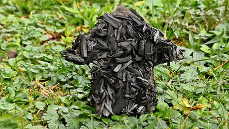 Biochar is to be used in construction as insulation material and can remove CO2 from the atmosphere. (Image: Empa)
