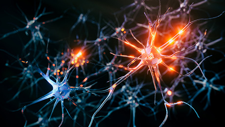  For now, no computer can match the energy efficiency of the human brain. Researchers from Empa, ETH Zurich and the Politecnico di Milano are working to change that. Image: iStock  For now, no computer can match the energy efficiency of the human brain. Researchers from Empa, ETH Zurich and the Politecnico di Milano are working to change that. Image: iStock 