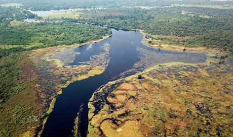Das Wasser des Ruki-​Flusses im Kongobecken ist aufgrund einer hohen Konzentration an gelösten organischen Substanzen so dunkel wie Tee. (Bild: Matti Barthel / ETH Zürich) 