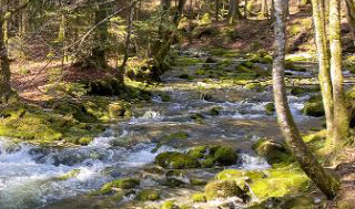 Not all Swiss streams are in a near-natural state like the Orbe in the Canton of Vaud. (Photo: Adobe Stock) 