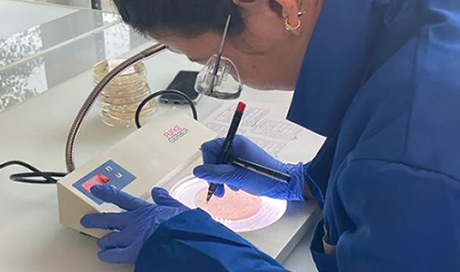 Sheena Conforti, chercheuse à l’Eawag, identifie les bactéries dans les échantillons d’eaux usées analysés. (Photo: Eawag, Melissa Pitton). 