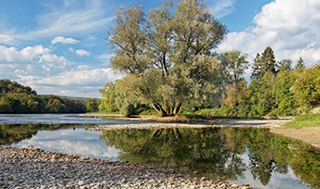 Zusammenfluss von Limmat und Aare. (Foto: Jan Ryser/BAFU)