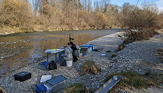 L’équipe de recherche lors du prélèvement d’échantillons de poissons dans la Langete avec la méthode de la pêche électrique (Photo: Dario Josi). 