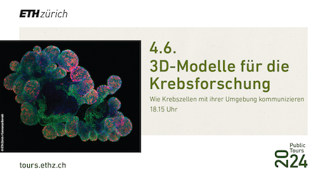 3D-Modelle für die Krebsforschung