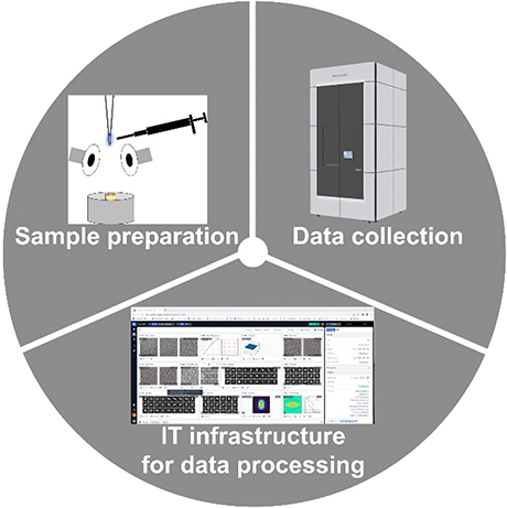 Cryo-EM Data Processing at ScopeM using CryoSPARC