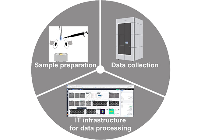 Cryo-EM Data Processing at ScopeM using CryoSPARC